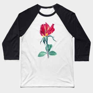 Red rose Baseball T-Shirt